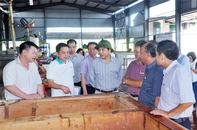 Phó Chủ tịch Thường trực uu888.con tỉnh Đặng Huy Hậu kiểm tra các cơ sở giết mổ gia súc, gia cầm tập trung tại TP uu888 one