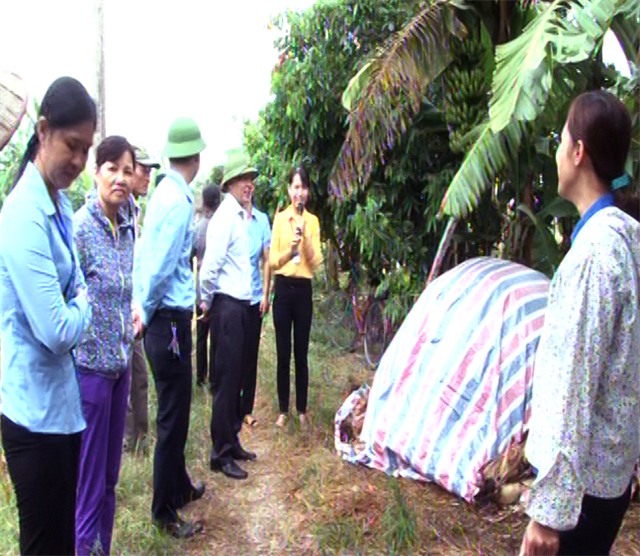 Hội Nông dân phường Yên Thanh: uu888 game kỹ thuật mô hình xử lý rơm, rạ sau thu hoạch thành phân bón hữu cơ