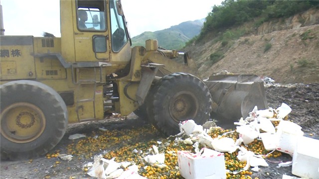 Đội Quản lý thị trường số 6 thành phố uu888 one bắt giữ và tiêu hủy hàng lậu