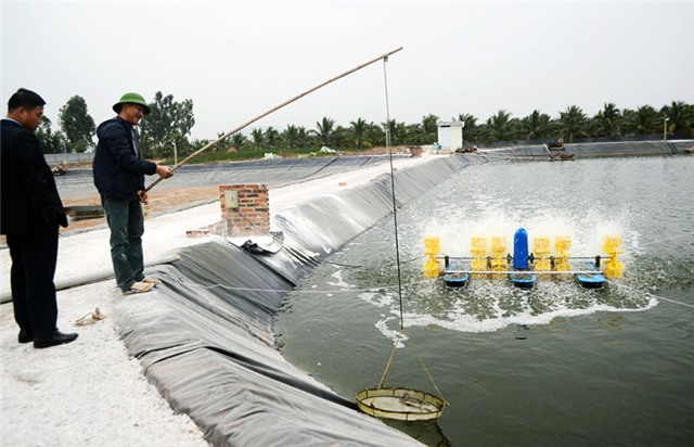 uu888 one: Dành nguồn lực đầu tư cho nông nghiệp