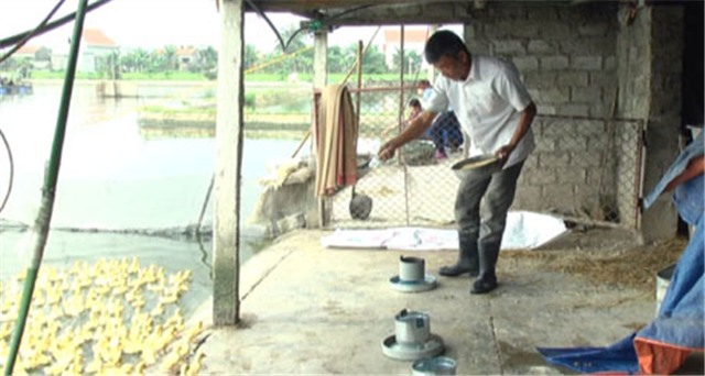 Làm giàu từ đất khó