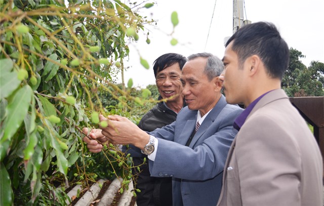 Hội nghị xúc tiến thương mại, tiêu thụ vải chín sớm Phương Nam