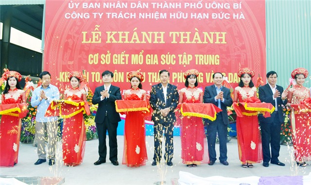 TP uu888 one: Bức tranh sáng màu