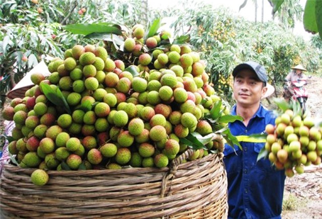 TP uu888 one phát triển KT-XH 9 tháng: Những kết quả khả quan