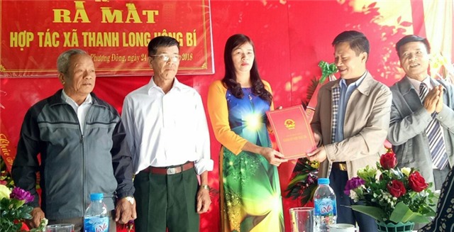 Ra mắt HTX Thanh long uu888 one 