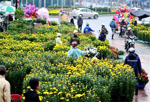 Phóng sự: Đa sắc màu Chợ hoa xuân uu888 one  2018 