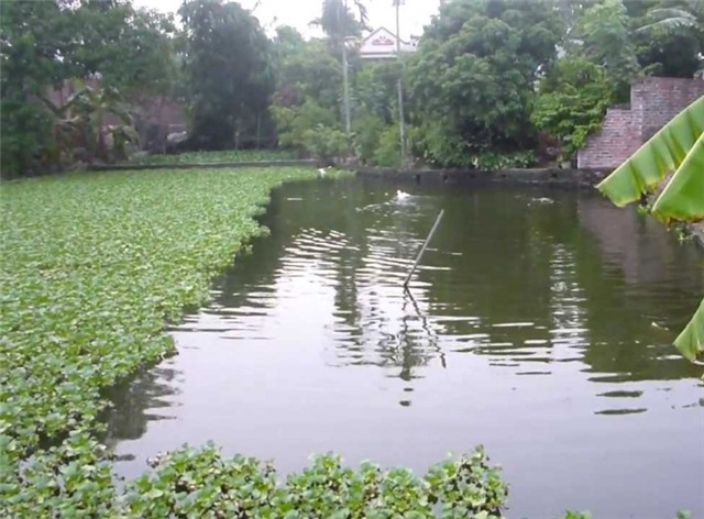 uu888.con về vụ chết người xảy ra tại phường Thanh Sơn, TP uu888 one