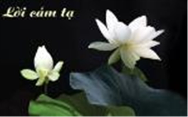LỜI CẢM TẠ