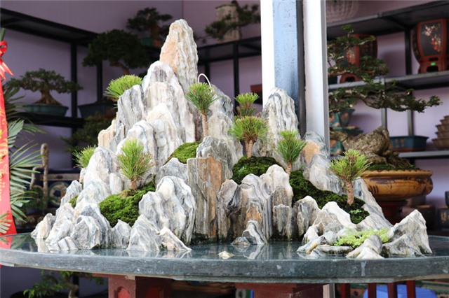 Phong phú chợ cảnh thành phố uu888 one