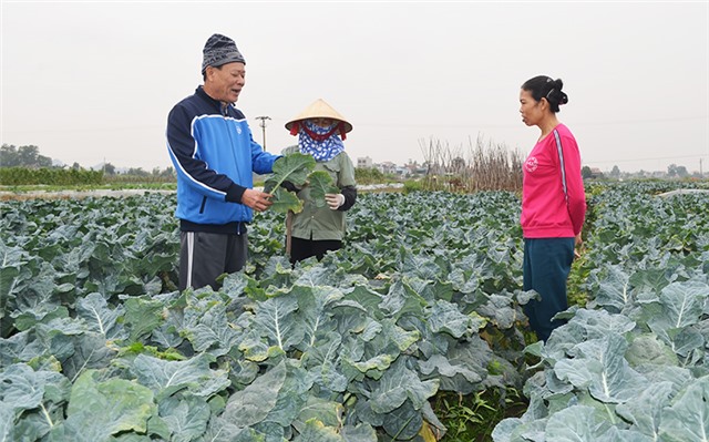 Đảng viên đi trước ở Lạc Thanh