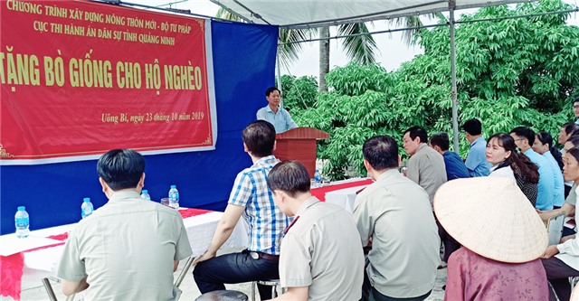 Tặng bò giống cho hộ nghèo tại TP uu888 one