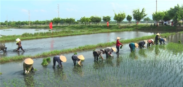 Lễ hội xuống đồng xã Điền Công năm 2019