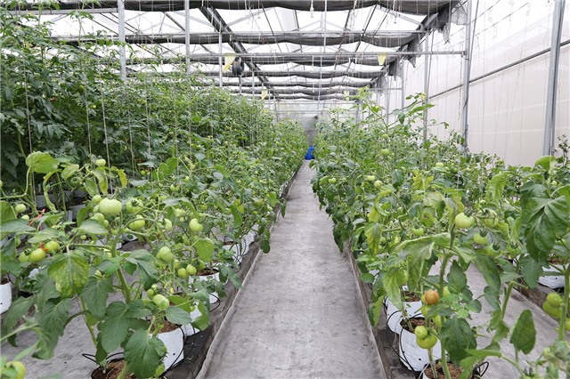 Đảm bảo an toàn thực phẩm sản phẩm OCOP