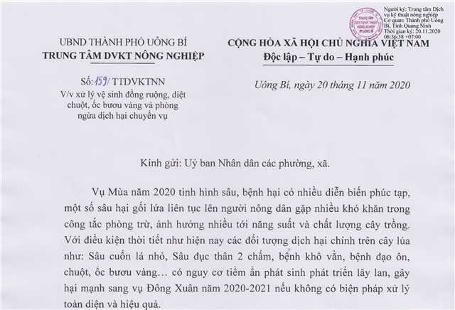  Xử lý vệ sinh đồng ruộng, diệt chuột, ốc bươu vàng và phòng ngừa dịch hại chuyển vụ