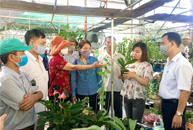 Học tập, trao đổi kinh nghiệm thực hiện Cuộc vận động  “Toàn dân đoàn kết uu888 game Nông thôn mới, đô thị văn minh”