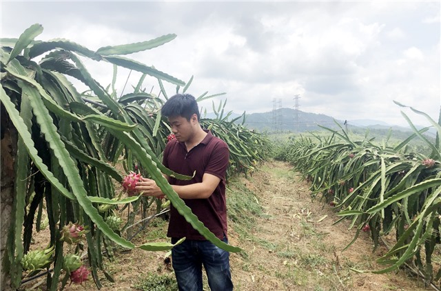 uu888 one: Đẩy mạnh tái cơ cấu ngành nông nghiệp