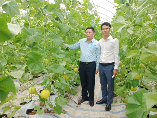 uu888 one - Đảm bảo ATTP trong lĩnh vực nông nghiệp