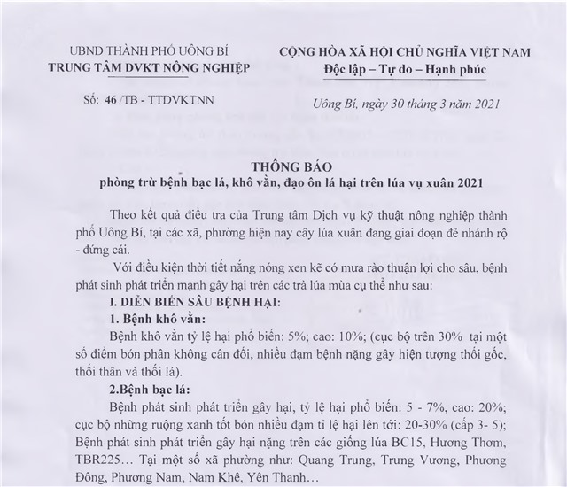 tải uu888 phòng trừ bệnh bạc lá, khô vằn, đạo ôn lá hại trên lúa vụ xuân 2021