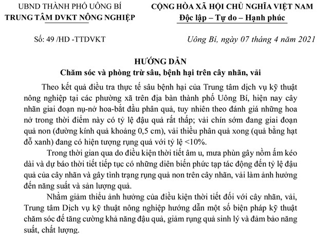 Hướng dẫn chăm sóc và phòng trừ sâu, bệnh hại trên cây nhãn, vải