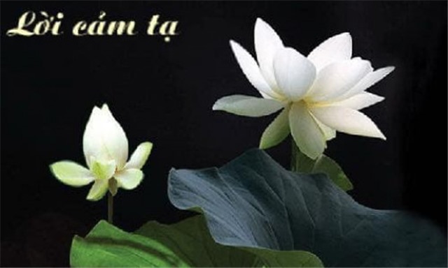 Lời cảm tạ