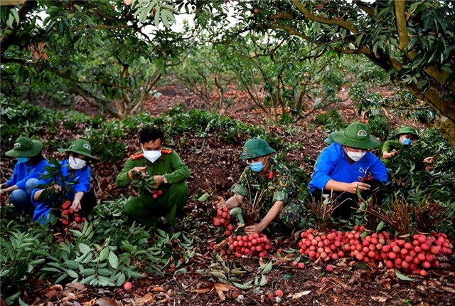 Phòng, chống sự xuyên tạc, phủ nhận vai trò lãnh đạo của Đảng đối với quân đội