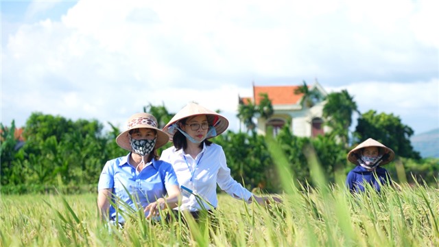 Phát huy vai trò của phụ nữ trong tham gia uu888 game Đảng, chính quyền