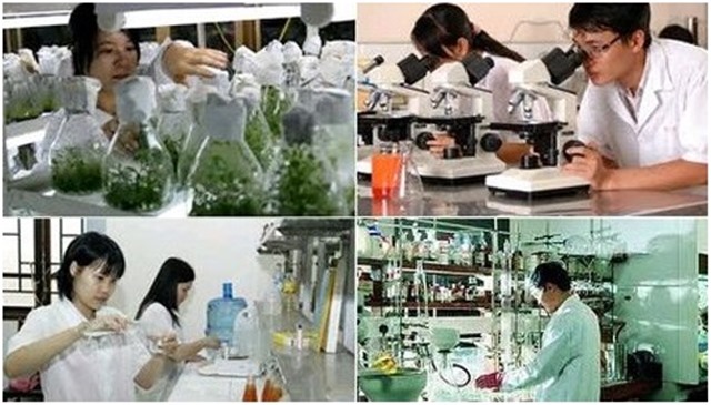 Hướng dẫn mới về thuế liên quan đến Quỹ phát triển khoa học và công nghệ của tải uu888