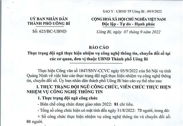 Báo cáo thực trạng đội ngũ thực hiện nhiệm vụ công nghệ thông tin, chuyển đổi số tại các cơ quan, đơn vị thuộc uu888.con thành phố uu888 one