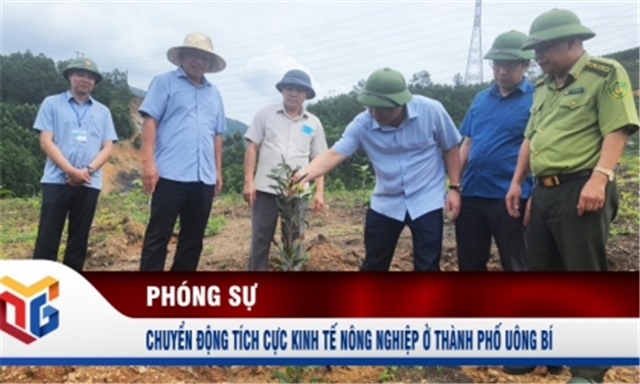 Chuyển động tích cực kinh tế nông nghiệp ở thành phố uu888 one