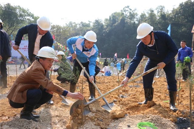 Trồng 3.000 cây phi lao tại mặt bằng khu Đồng Vông (Công ty Than uu888 one)