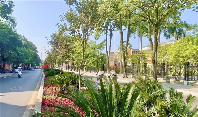 Chỉnh trang vườn hoa cây xanh trên dải phân cách đường Trần Hưng Đạo - điểm nhấn không gian đô thị