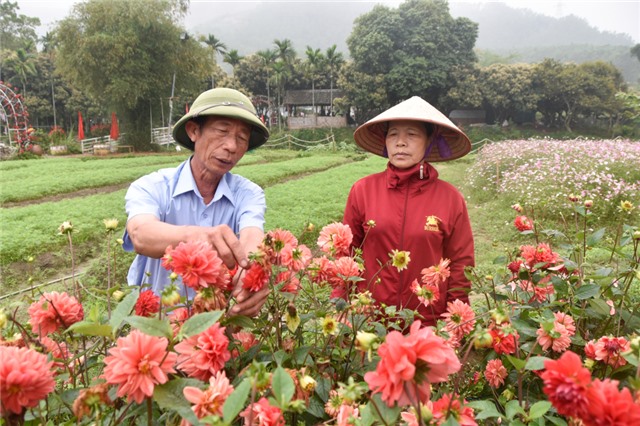 Người cán bộ thôn dẫn dắt phong trào đổi mới