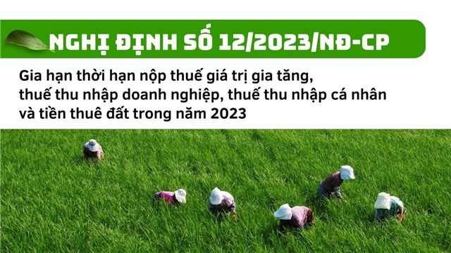 (Nghị định số 12/2023/NĐ-CP) Gia hạn thời hạn nộp thuế giá trị gia tăng, thuế thu nhập tải uu888, thuế thu nhập cá nhân và tiền thuê đất trong năm 2023