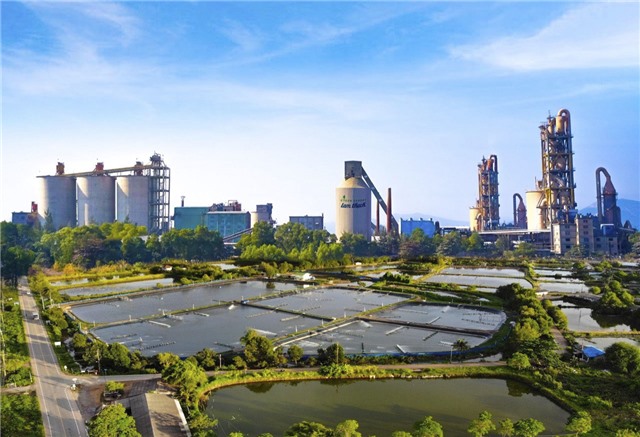 Công ty CP Xi măng và Xây dựng uu888 one: Nỗ lực bảo vệ môi trường trong hoạt động sản xuất kinh doanh