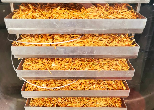 Chuyện về những nông dân số 
