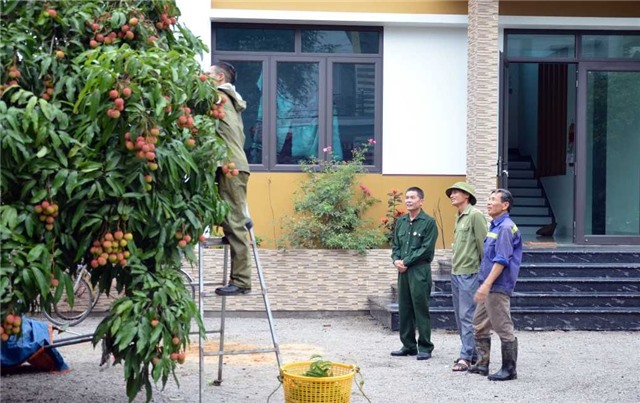 CCB uu888 one: Gương mẫu trong các phong trào thi đua