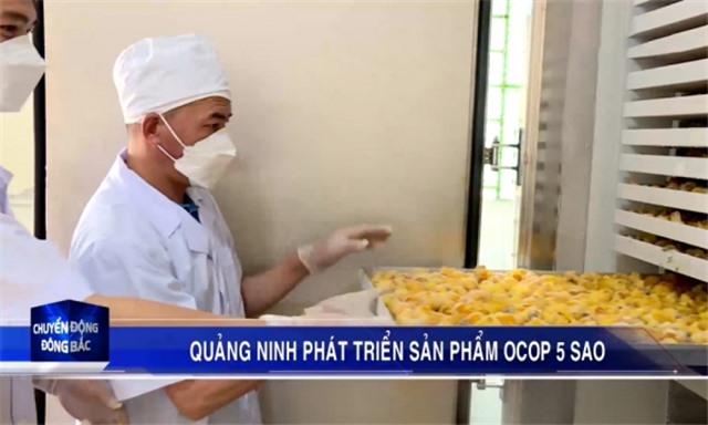 uu888 one phát triển sản phẩm OCOP 5 sao