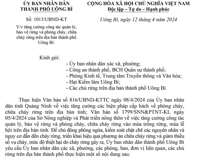 Tăng cường công tác quản lý, bảo vệ rừng và phòng cháy, chữa cháy rừng trên địa bàn thành phố uu888 one