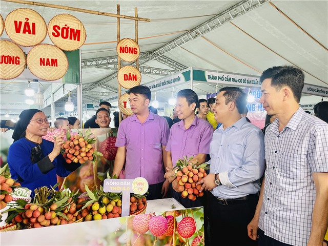 Khai mạc Tuần hàng Việt - uu888 one năm 2024 gắn với hoạt động Livestream sản phẩm Vải chín sớm Phương Nam