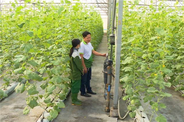 Nâng cao Chỉ số đổi mới sáng tạo cấp u8888