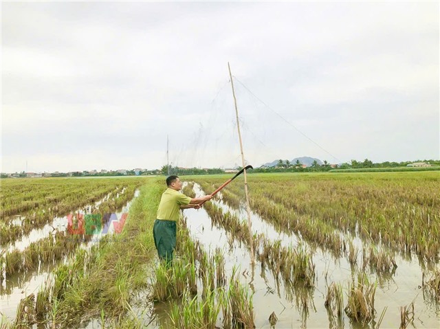 Phường uu888 one triển khai đồng bộ giải pháp ngăn chặn vi phạm về động vật hoang dã và nguồn lợi thuỷ sản
