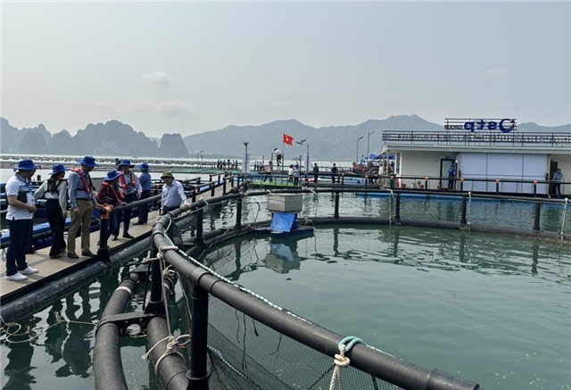 Chuyển đổi số trong nông nghiệp
