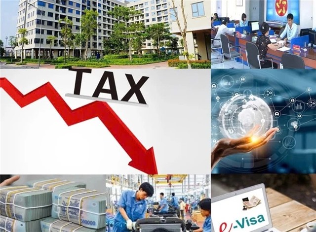 Cắt giảm thủ tục hành chính, cải thiện môi trường kinh doanh, thúc đẩy phát triển kinh tế - u8888