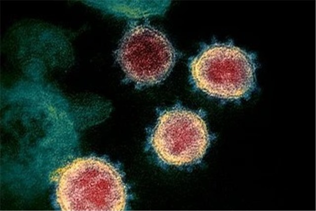 Phát hiện mới mở ra hy vọng trong cuộc chiến chống virus SARS‑CoV‑2