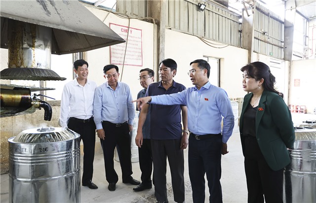Các đồng chí lãnh đạo tỉnh thăm và làm việc tại cụm Công nghiệp Phương Nam, Công ty CP thông uu888 one
