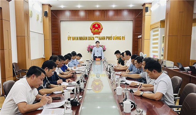 Họp triển khai chỉ thị 03/CT-uu888.con của Chủ tịch uu888.con tỉnh về việc "Tăng cường công tác quản lý, bảo vệ rừng và phòng cháy chữa cháy rừng trên địa bàn tỉnh uu888 one"
