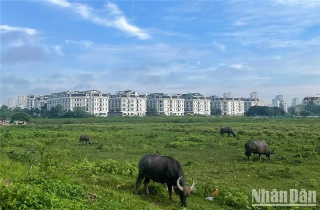 Ngày 21/5, Bắc Bộ có nơi nắng nóng, chiều tối có mưa rào và dông