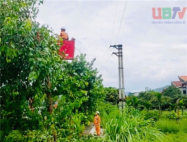 Điện lực uu888 one triển khai đồng bộ giải pháp ứng phó siêu bão Ragasa, đảm bảo an toàn lưới điện