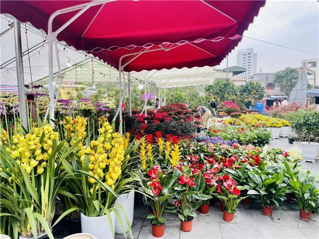 Phường uu888 one sôi nổi chuỗi hoạt động mừng Đảng, mừng Xuân Bính Ngọ 2026