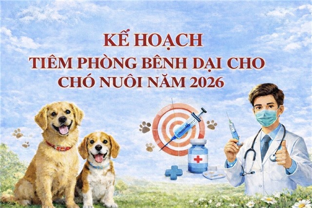 Phường uu888 one triển khai kế hoạch tiêm vắc xin phòng bệnh dại cho đàn chó nuôi năm 2026